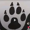 adammaskell86 - @adammaskell86 - TikTok