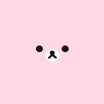 Sammy Bear - @adammatlock84 - Instagram