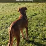 Adam matter - @sling_slayer420 - Instagram