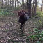 Adam Maxey - Facebook