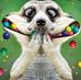 Adam McCready - Facebook
