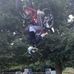 Adam Mcdade - Facebook