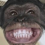 Adam McEvoy - @adam.mce99 - Instagram