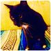 Adam McHale - Facebook