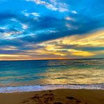 Adam Mcqueen - @blueys_wa_bites - Instagram