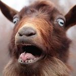 Adam Mefford - @adammefford - Instagram