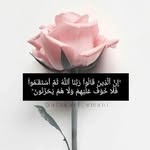 Adam Megahed - @adam_megahed55 - Instagram