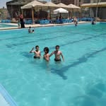 Adam Megahed - @adam.1234891 - Instagram