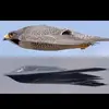 Adam meyer - @nomad7235 - TikTok