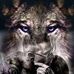 Adam Mouloue - Facebook