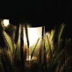 Adam Misner - @adam805 - Instagram