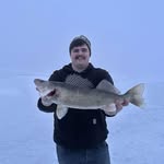 Adam Mitchell - @adam.mitchell.35762241 - Instagram