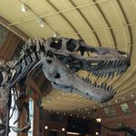 Adam Moats - @jp_brachiosaur - Instagram