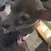 Adam Mobley - Facebook