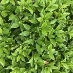 Adam Mock - @adam.mock.7545 - Instagram