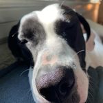 Adam Mock - @mock_adam - Instagram