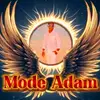 Mode Adam - @adam67957 - TikTok