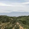 adammoffatt41 - @adammoffatt41 - TikTok