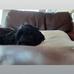 Adam Moir - @adam_moir_ - Instagram