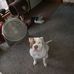 Adam Moses - Facebook
