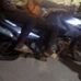 Maliki Adam - Facebook