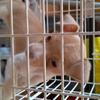 adam_mole - @evie_mole12345 - TikTok