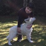 Adam Moles - @moles.adam - Instagram