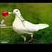 Adama Mone - Facebook