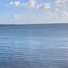 Adam.more - @adam.more - TikTok