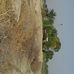 Village Adam Khan Rind 78 Mori Umar Kot Rod Mirpur Khas - Facebook