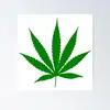 Adam Moser - @moser.adam - TikTok