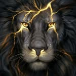 Adam Moudrý - @adammoudry - Instagram