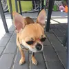 Adammodry - @adammodry - TikTok