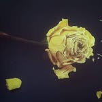Adam Moursi - @adammoursi123 - Instagram