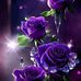 Mourd Adam - Facebook