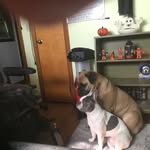 Adam Mumma - @adam.mumma.79 - Instagram