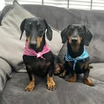 Adam Nathan - @adamnathan2 - Instagram