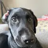 ️ - @nathan.adams10 - TikTok