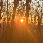 Adam Nield - @adamn9623 - Instagram