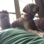 Adam Nollen - @adamnollen - Instagram