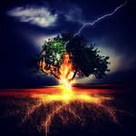 Adam Novák - @adam_novak_12 - Instagram