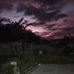 Adam Null - Facebook