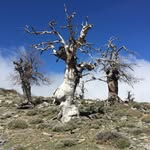 Adam Nye - @adamdavidnye - Instagram