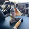 Adam nylander - @adamnylander4 - TikTok