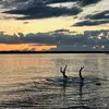 Oakley Adamyk - @oakley.adamyk - TikTok