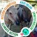 Adas Macho - Facebook