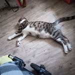 Adam Obrecht - @obrechtadam3 - Instagram