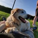 Adam Obrien - @obrien_adam14 - Instagram