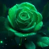 Adam obrien - @adam.obrien04 - TikTok