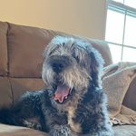 Adam Offermann - @adam_offermann - Instagram